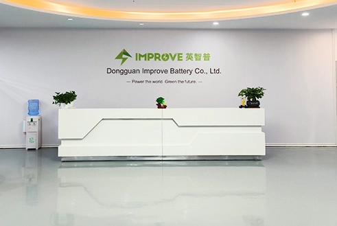 IMPROVE BATTERY factory